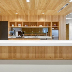 301 Grant Street, Suite 270 office spaces