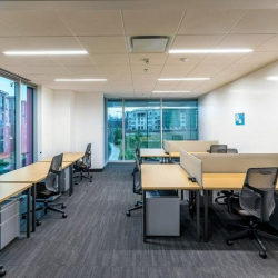 3031, North Rocky Point Drive West