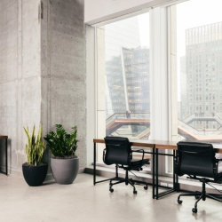 Serviced office in New York City
