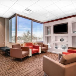Executive suites in central Chandler (Texas)