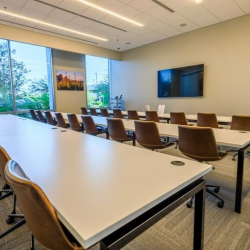 3133 West Frye Road, Suite 101