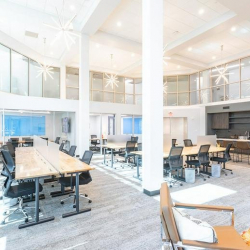 Serviced office centres in central Saint Petersburg (Florida)