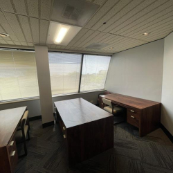 Multi-desk workspace with warm wood finishes and natural light.