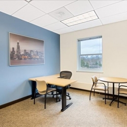 Offices at 350 S Northwest Highway, Suite 300