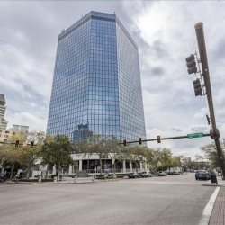 Office suite - Saint Petersburg (Florida)