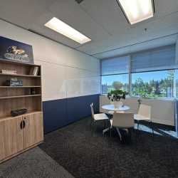Sunlit corner office featuring a small meeting table and a tall wooden bookshelf.