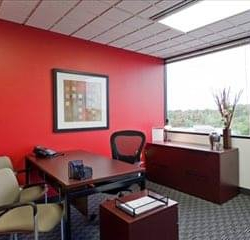 Image of Novi office suite