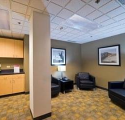 Office suites in central Novi