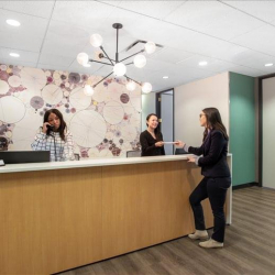 Image of Chicago office suite