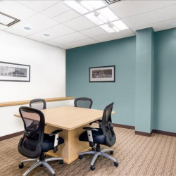 Offices at 411 Theodore Fremd Avenue, Suite 206 South