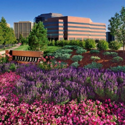 Office spaces to lease in Denver