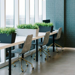 Bright window-side workspace with long communal desks and integrated plant boxes.