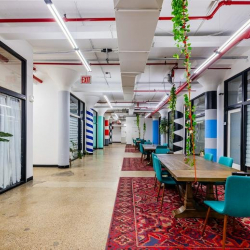 Interior of 495, Flatbush Avenue, Prospect Lefferts Gardens