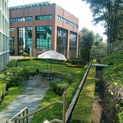 Office accomodation in Mexico City
