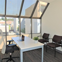 Sunlit private office featuring a sloped glass wall and guest seating.