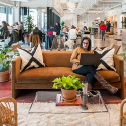 Office accomodations to let in Chapel Hill