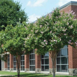 Exterior image of 5055 W Park Blvd, Suite 400