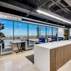 Irving office suite