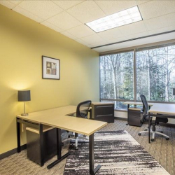 Office suites in central Alpharetta (Georgia)