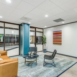 Serviced office - Houston