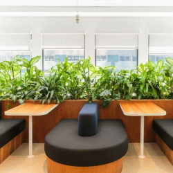 Office accomodation to let in New York City
