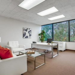 Executive suite - Woodland Hills