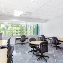 Executive suite to hire in Guatemala City