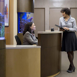Office suites to hire in New York City