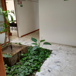 Morelia serviced office