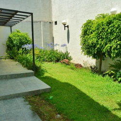 Image of Morelia office space