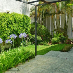 Serviced office centres in central Morelia