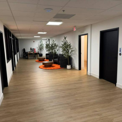 Office suite - Pinellas Park