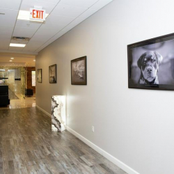 6751 North Sunset Boulevard, Suite 320 serviced offices