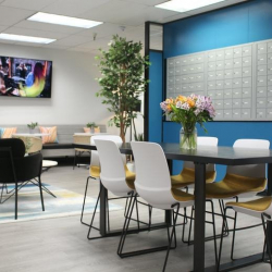 Executive office to hire in Larkspur