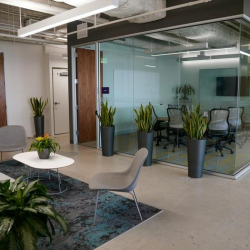 Office spaces in central Los Angeles