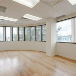 Large office suite with a curved wall of windows and light wood-look flooring.