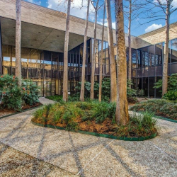 Serviced office - Houston