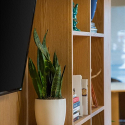 Serviced offices to rent in 