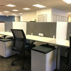 755 West Big Beaver Road, Suite 2020, Top of Troy serviced office centres