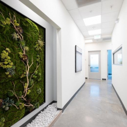 7726 Winegard Road, 2nd Floor executive offices