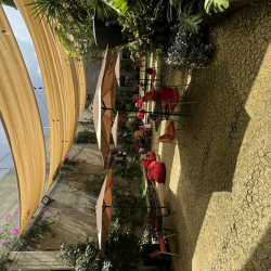 Image of Mexico City serviced office