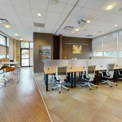 Offices at 80 Theodore Fremd Avenue