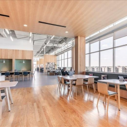 Offices at 800 Town & Country Blvd, Suite 500