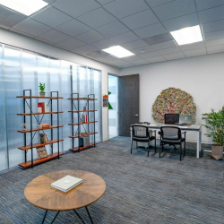 Offices at 8215 Long Point Road, Spring Branch Village