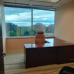 Image of Vienna (Virginia) executive office centre