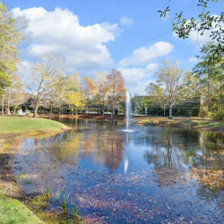 Serviced offices in central The Woodlands