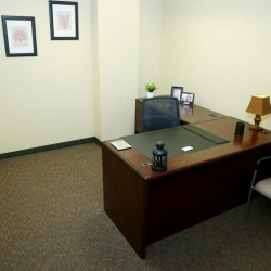 Offices at 8745 W Higgins Road, Suite 110