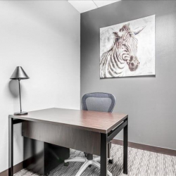 Executive office in Tampa