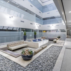 Executive office to hire in Austin