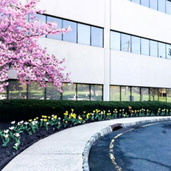 Executive office centres to rent in Bridgewater